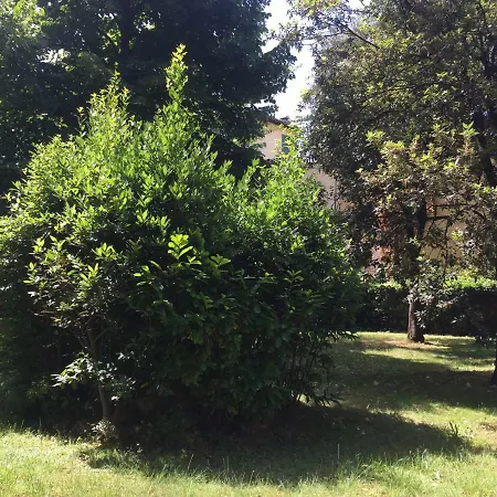 Caccini Флоренция
