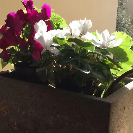 Caccini Hotell Florens